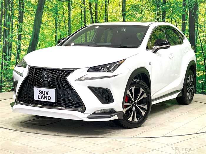 2018 Lexus NX