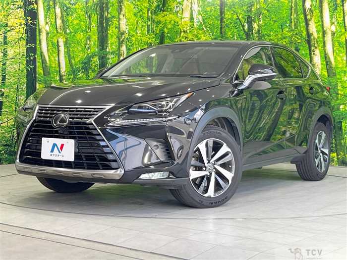 2018 Lexus NX