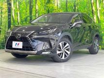 2018 Lexus NX