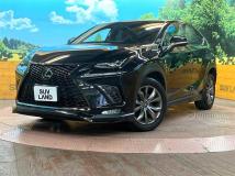 2019 Lexus NX