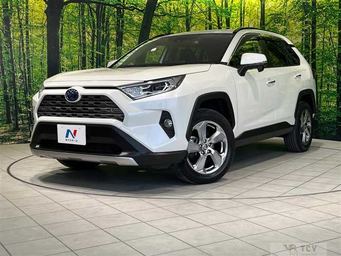 2020 Toyota RAV4