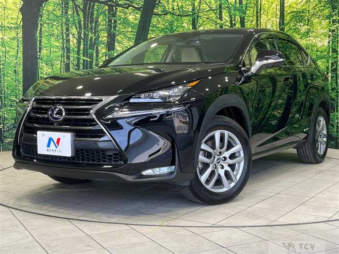 2015 Lexus NX