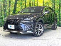 2018 Lexus NX
