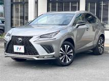 2018 Lexus NX