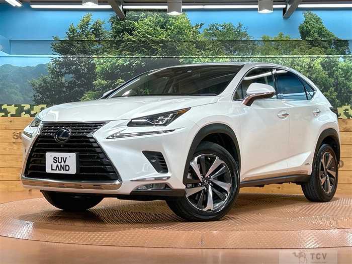 2019 Lexus NX