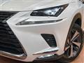 2019 Lexus NX