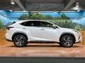 2019 Lexus NX