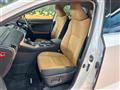 2019 Lexus NX