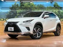 2019 Lexus NX