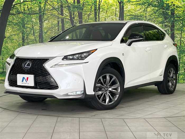 2015 Lexus NX