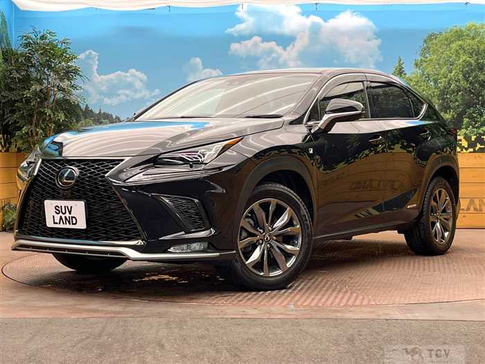 2017 Lexus NX