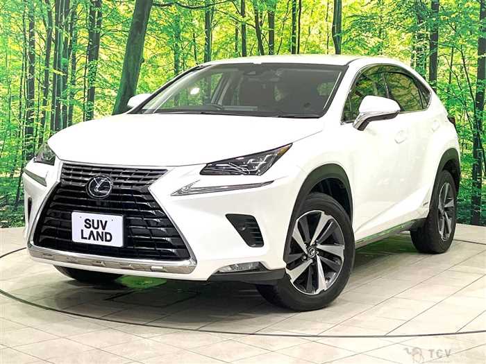 2018 Lexus NX