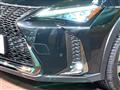 2019 Lexus Other