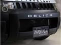 2017 Mitsubishi Delica D5
