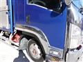 2011 Isuzu Isuzu Others