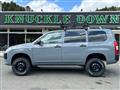 2017 Toyota Succeed Van