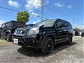 2013 Nissan X-Trail