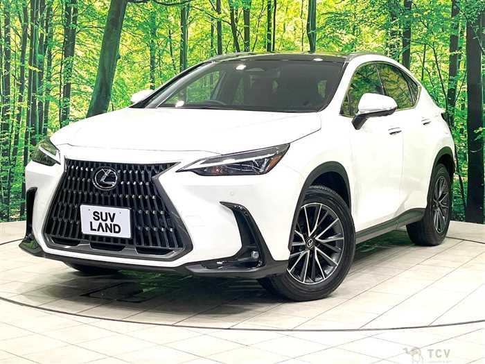 2023 Lexus NX