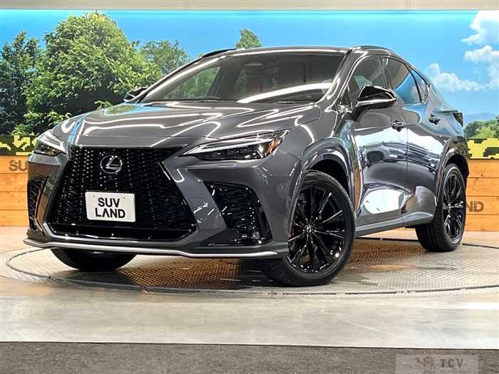 2024 Lexus NX