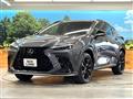 2024 Lexus NX