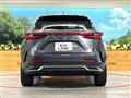 2024 Lexus NX