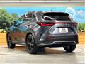 2024 Lexus NX