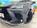 2024 Lexus NX