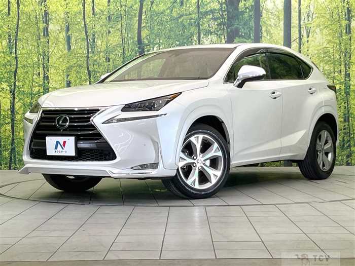 2015 Lexus NX