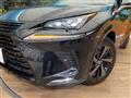 2020 Lexus NX