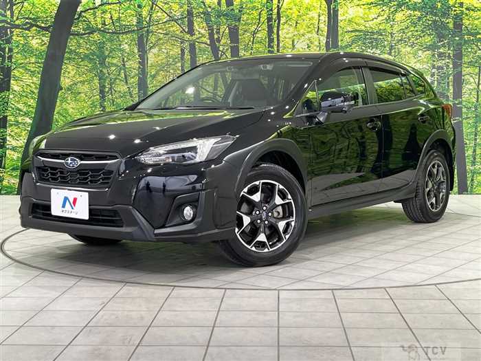 2019 Subaru Subaru Others