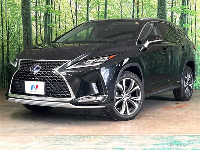 2019 Lexus RX
