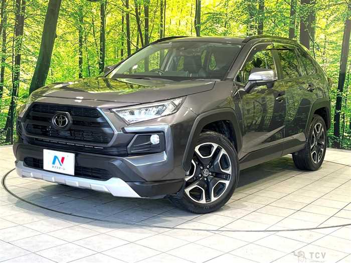 2019 Toyota RAV4