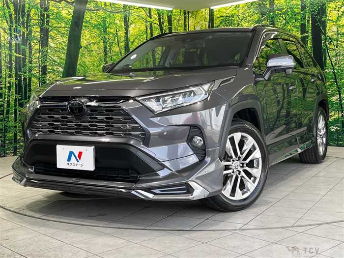 2019 Toyota RAV4