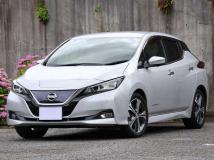 2019 Nissan Nissan Others