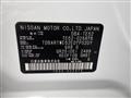 2011 Nissan Elgrand