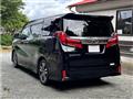 2019 Toyota Alphard G