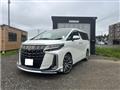 2021 Toyota Alphard G