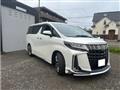 2021 Toyota Alphard G