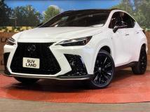 2023 Lexus NX