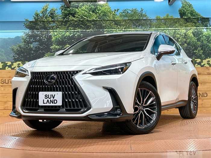 2023 Lexus NX