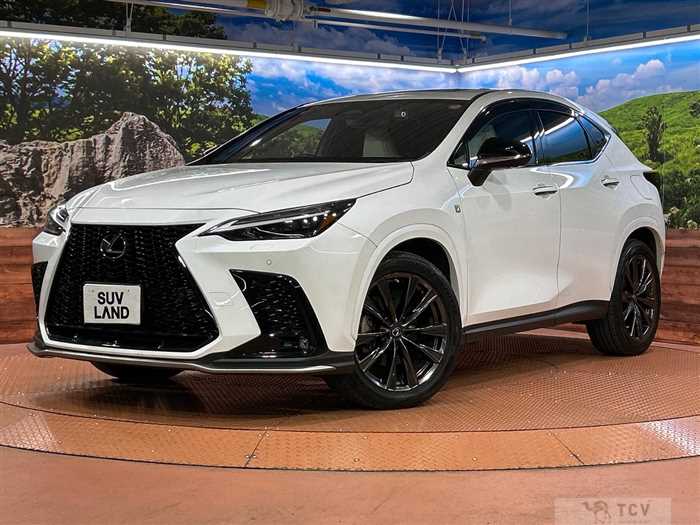 2021 Lexus NX