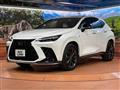 2021 Lexus NX