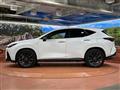 2021 Lexus NX