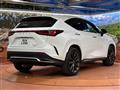 2021 Lexus NX