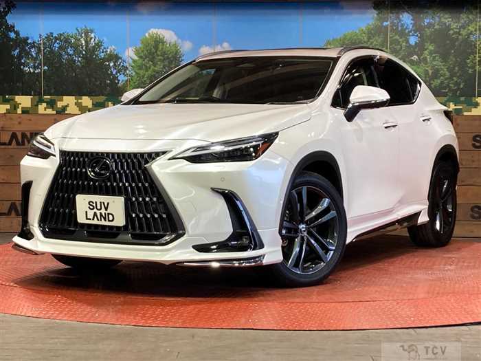 2022 Lexus NX