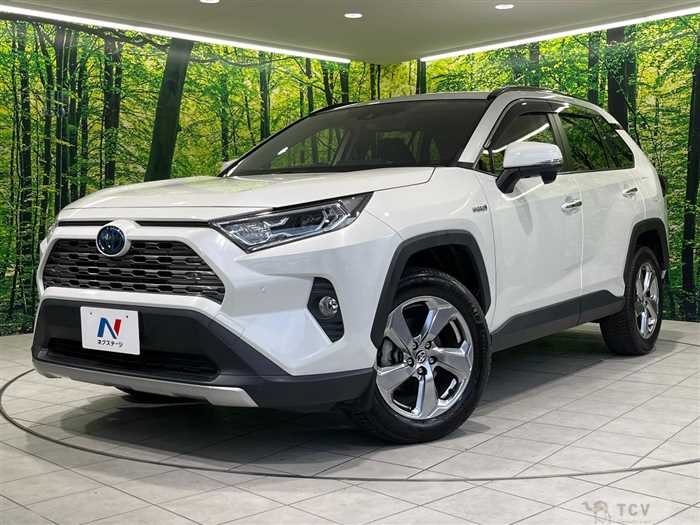 2019 Toyota RAV4
