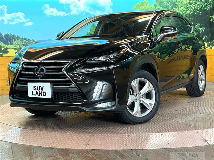 2014 Lexus NX
