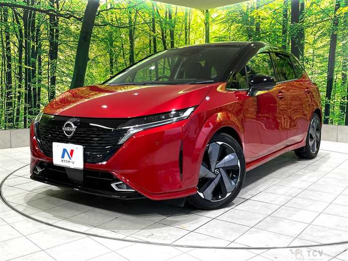 2021 Nissan Nissan Others