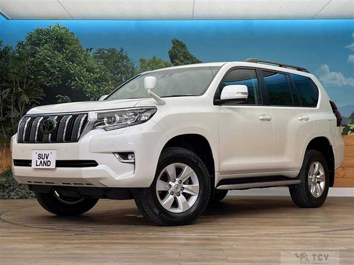 2019 Toyota Land Cruiser Prado