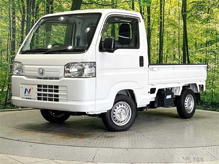 2019 Honda Acty Truck